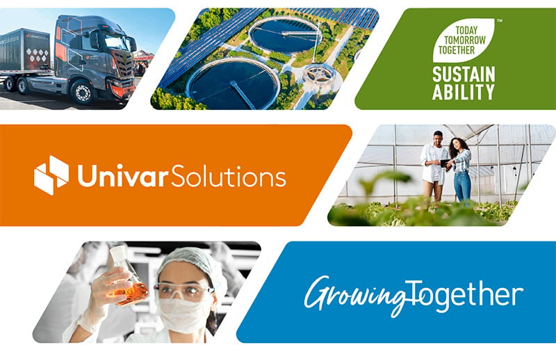 Rapport sur le développement durable 2025