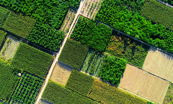 Vue a&eacute;rienne des champs agricoles