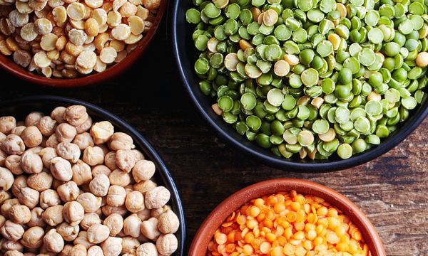 High-Quality Food Ingredient Distributor