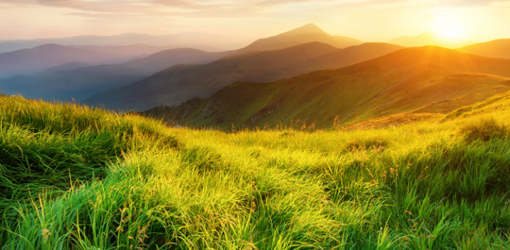 A landscape image of an open grassy area with mountains in the background and the sun rising into the sky.